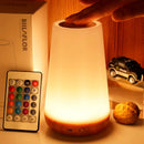 Luminária Touch Led - USB -  Recarregável com Controle Remoto!